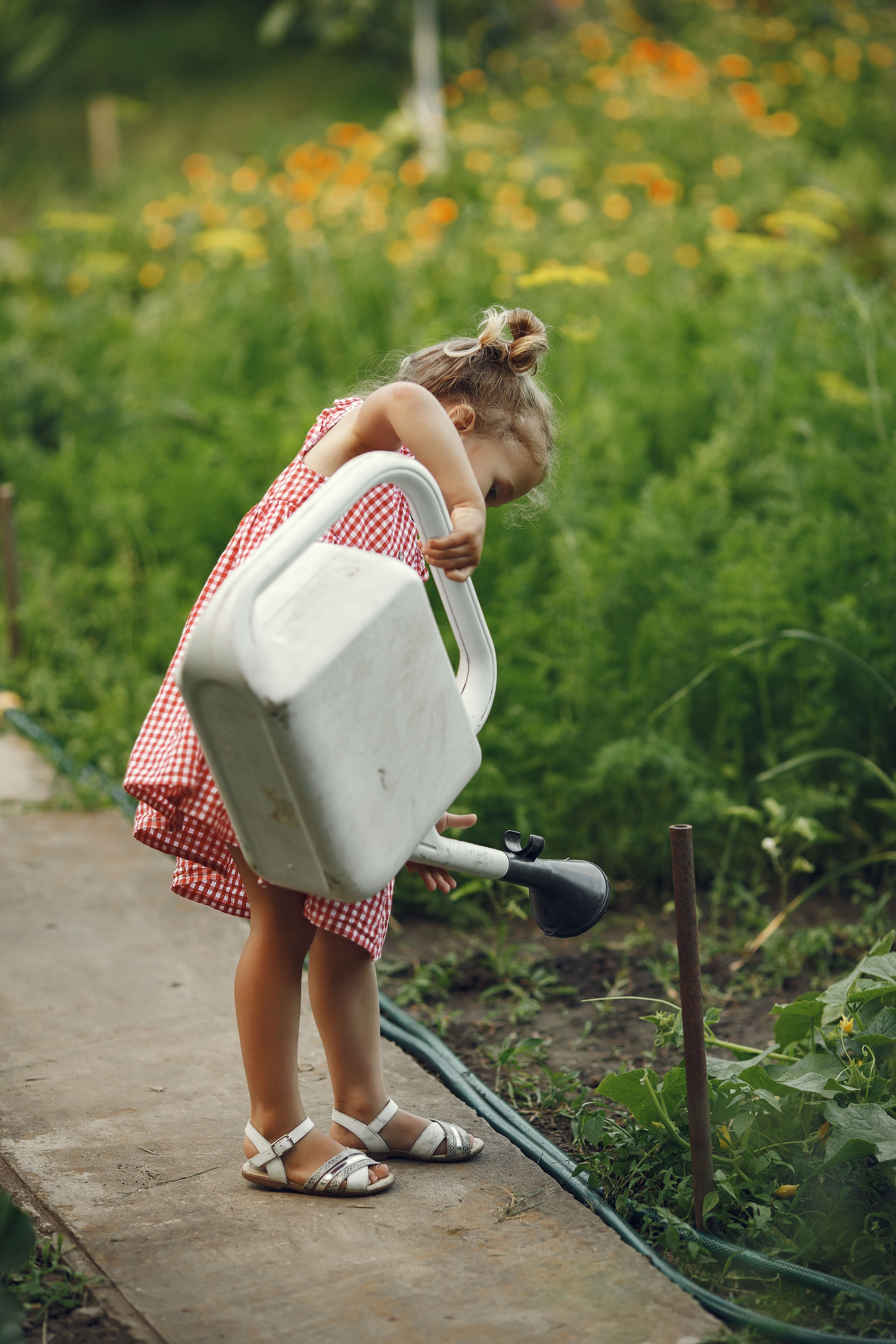 Garden Days