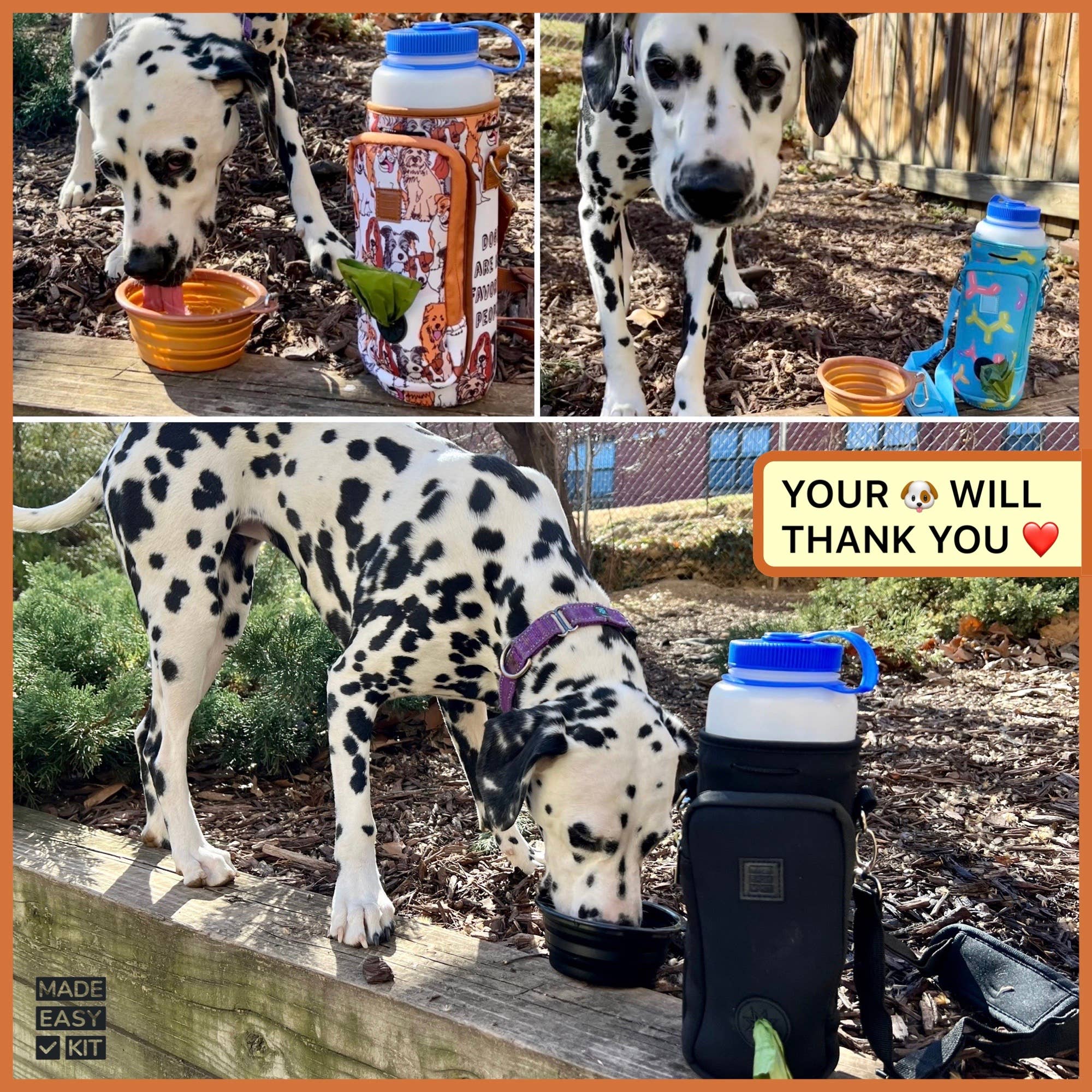 Teal Floral Hands-Free 32 oz Water Bottle Carrier with Dog Waste Bag Dispenser, Collapsible Pet Bowl & Storage Pocket